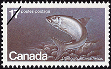 Le corégone atlantique, Coregonus canadensis 1980 - Timbre du Canada